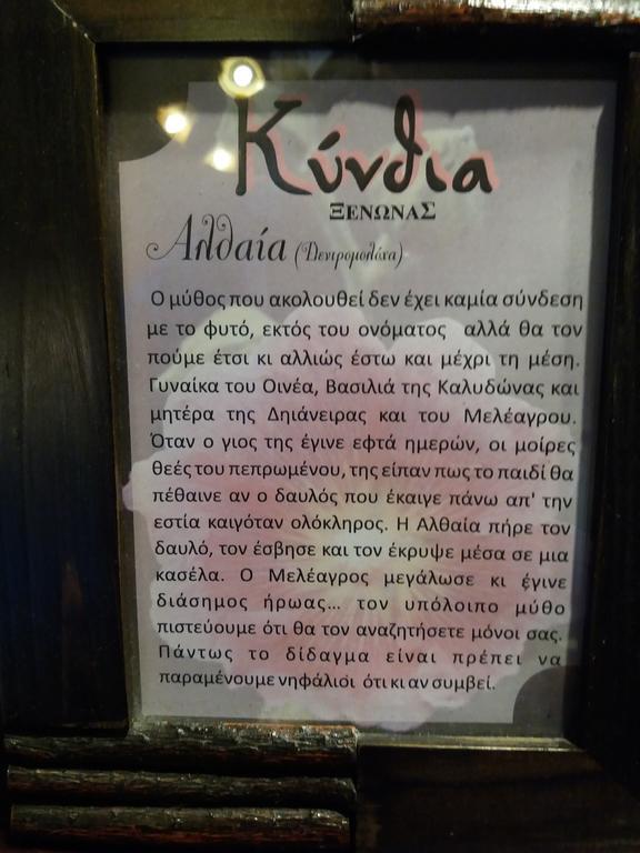 Kynthia Guesthouse Neochori  Luaran gambar
